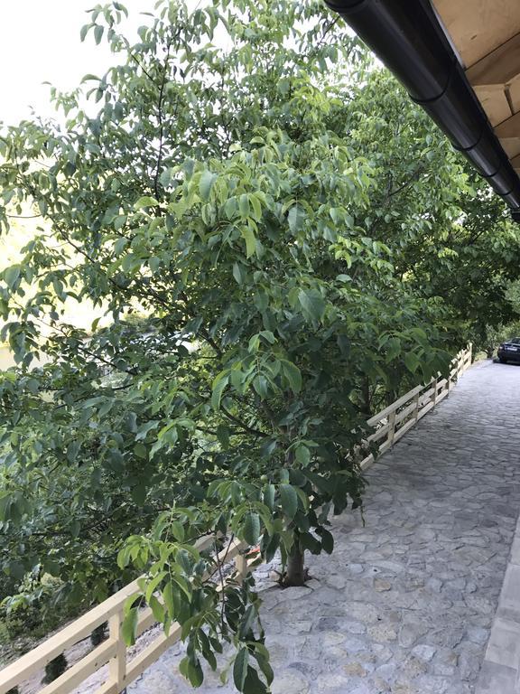 6 New River View Apartments Bihac Bagian luar foto